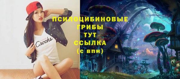 шишки Алексин