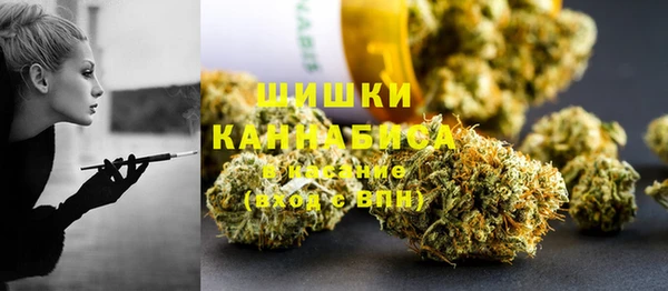 шишки Алексин