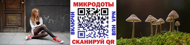 Псилоцибиновые грибы GOLDEN TEACHER  Сочи 