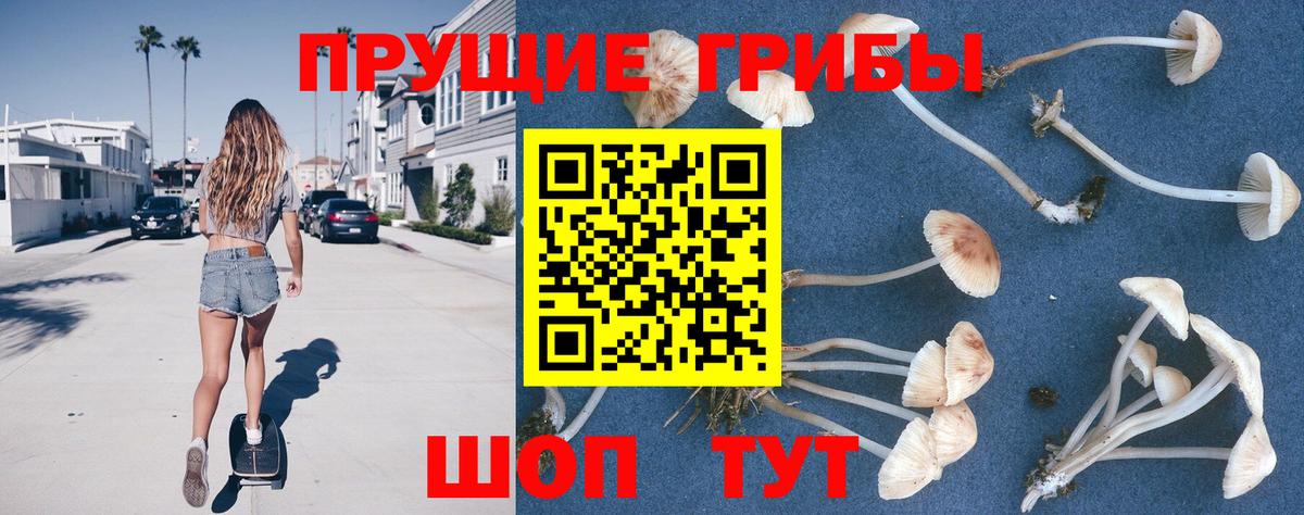 Конопля Сочи