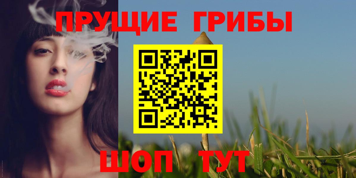Сочи  Псилоцибиновые грибы Psilocybine cubensis  Вход с VPN 